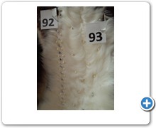 collection 4 pelo 92-93